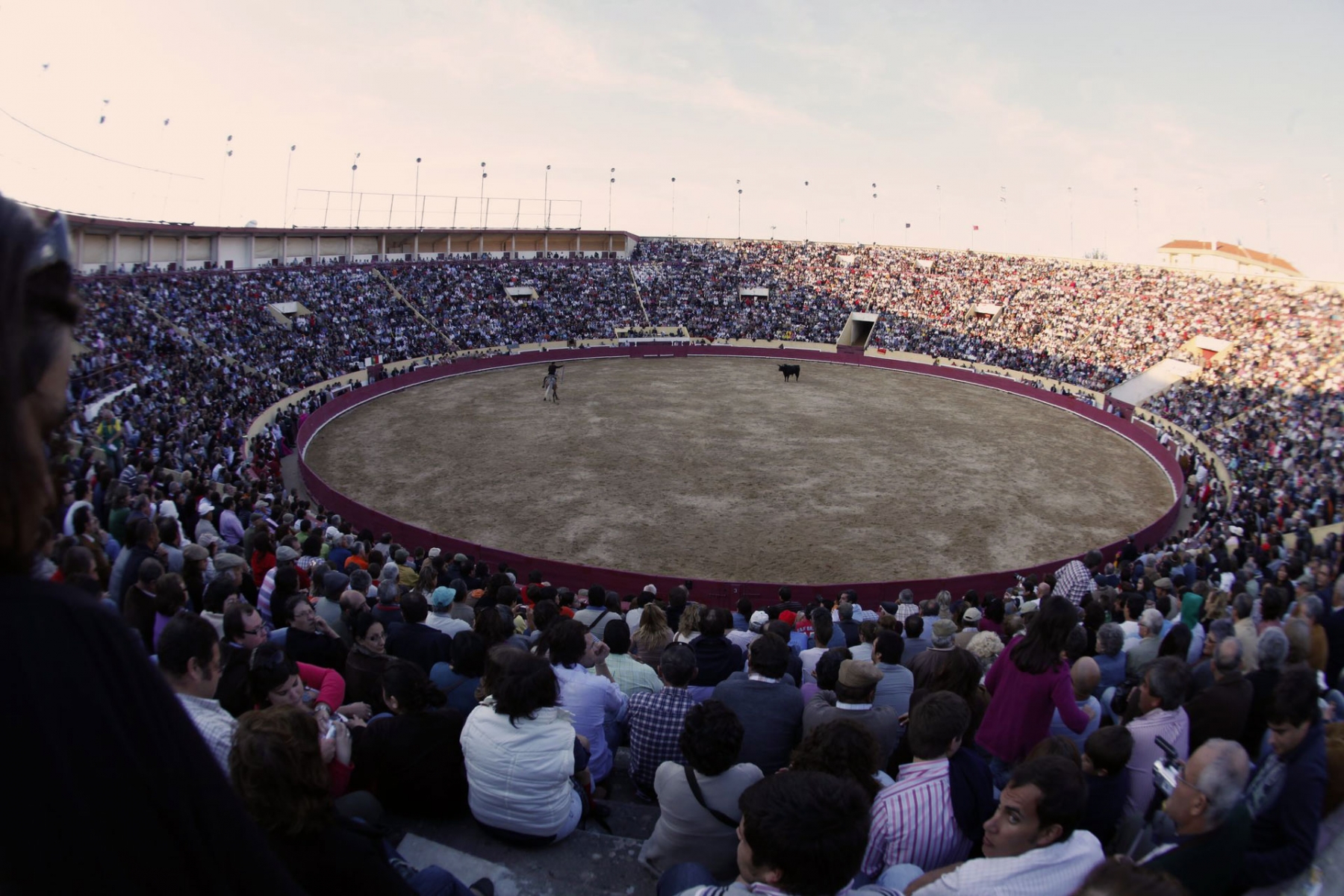 FESTIVAL_TAURINO_SANTAREM_VITIMAS_INCENDIOS_PEDROGAO