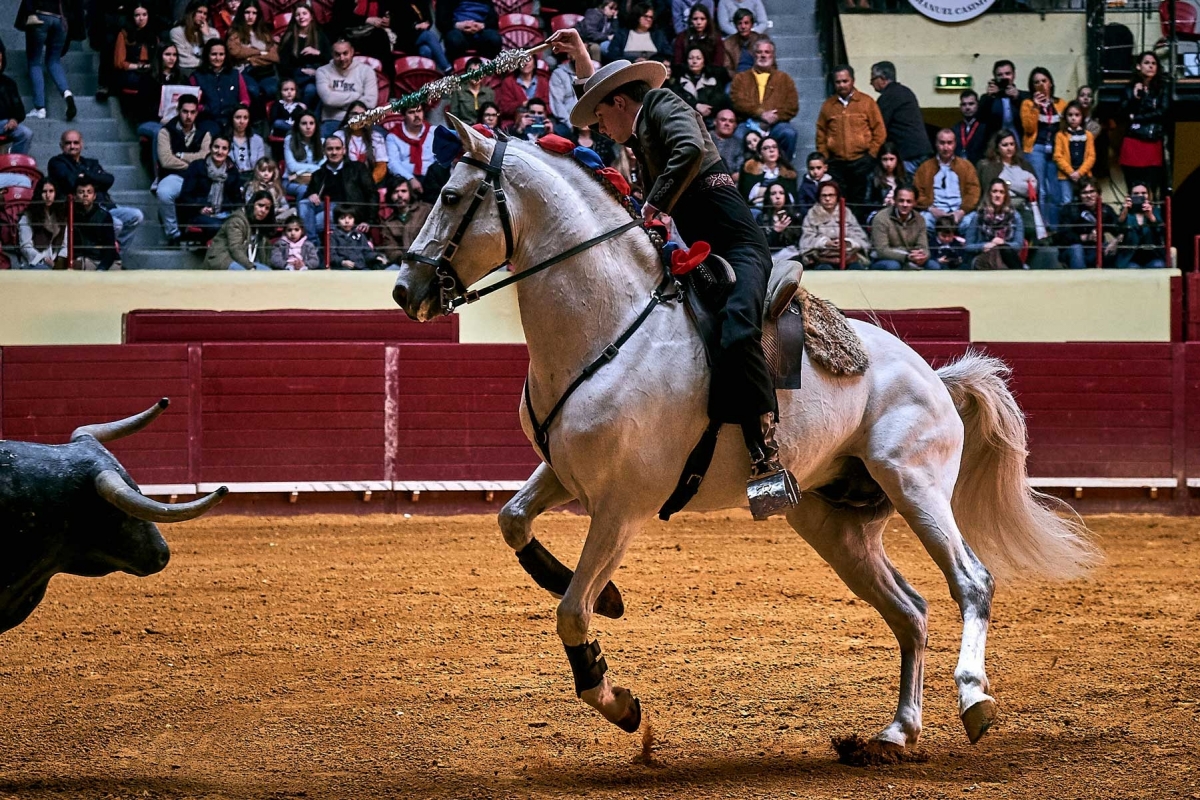 Demonstração de Toureio Cavalo3