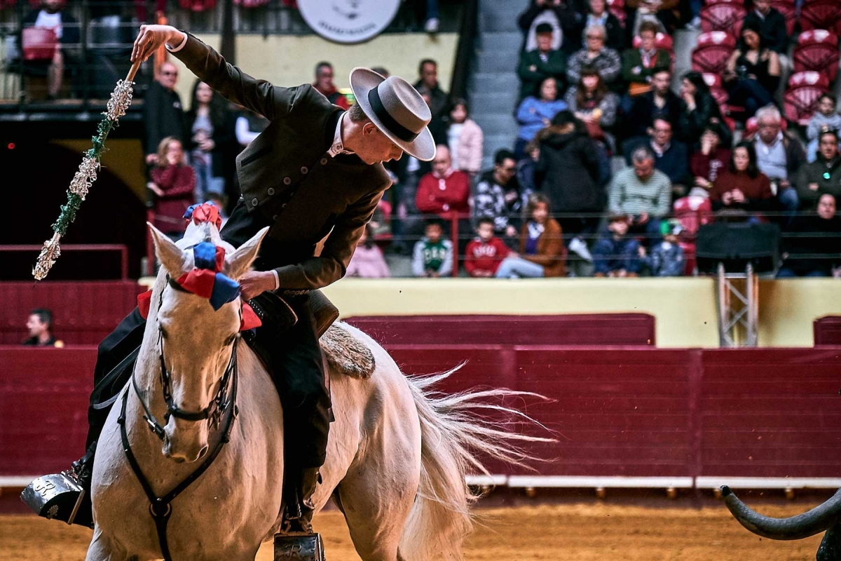 Demonstração de Toureio Cavalo4