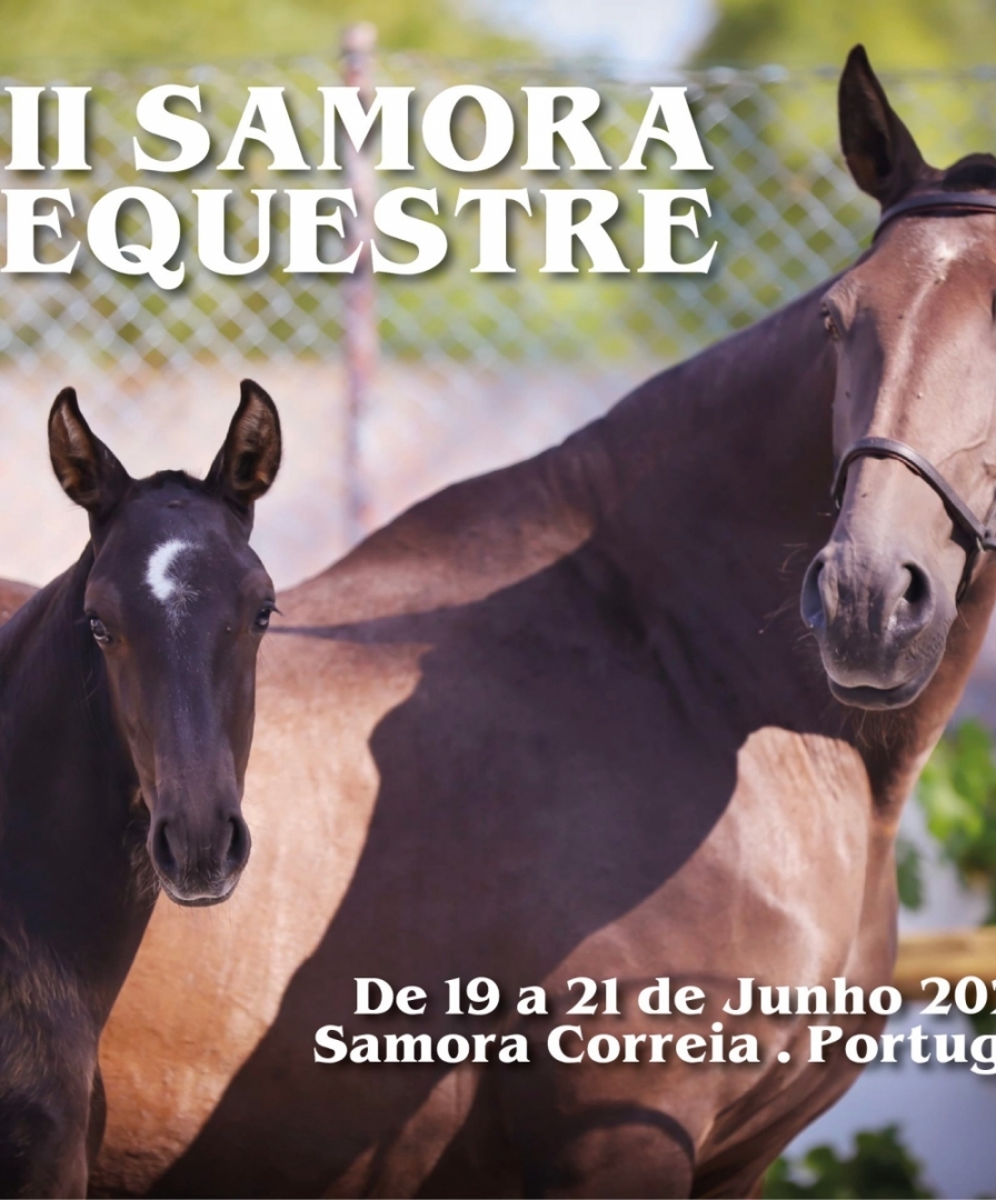 II Samora Equestre