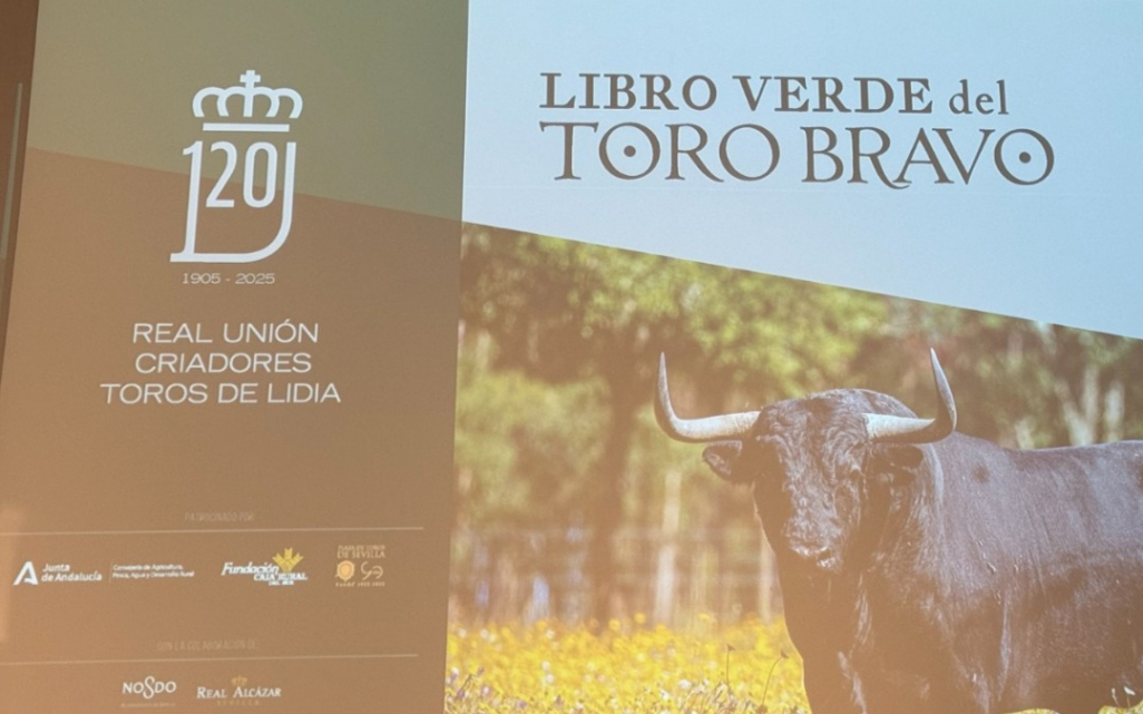 libro verde del toro bravo 